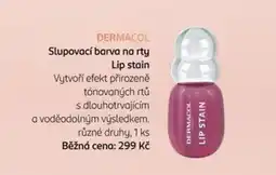Rossmann DermaCol slupovací barva na rty Lip stain nabídka