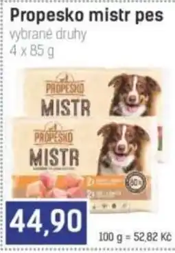 Konzum Propesko mistr pes nabídka
