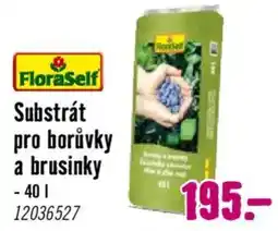 Hornbach FloraSelf substrát pro borůvky a brusinky nabídka