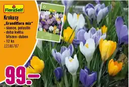 Hornbach FloraSelf Krokusy Grandiflora mix nabídka