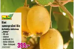 Hornbach FloraSelf Kiwi samosprašné Bio nabídka
