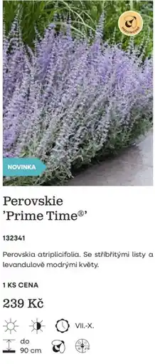 Starkl Perovskie 'Prime Time®' nabídka