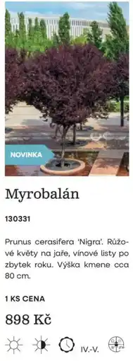 Starkl Myrobalán nabídka
