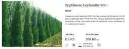 Starkl Cypřišovec Leylandův 2001 nabídka