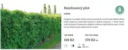 Starkl Bambusový plot nabídka