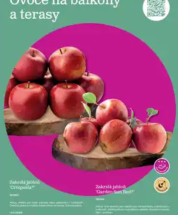 Starkl Zakrslá jabloň 'Croquella®' nabídka