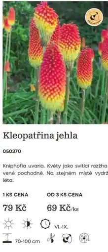 Starkl Kleopatřina jehla nabídka