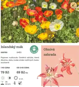 Starkl Islandský mák nabídka