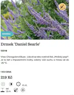 Starkl Drmek 'Daniel Searle' nabídka
