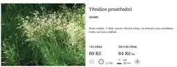 Starkl Třeslice prostřední nabídka