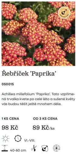 Starkl Řebříček 'Paprika' nabídka