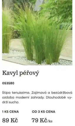 Starkl Kavyl péroVý nabídka