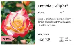 Starkl Double delight keř nabídka
