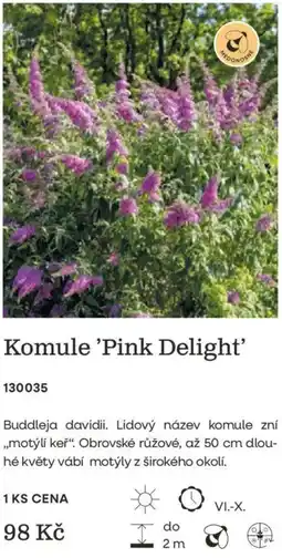 Starkl Komule 'Pink Delight' nabídka