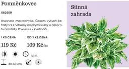 Starkl Pomněnkovec nabídka