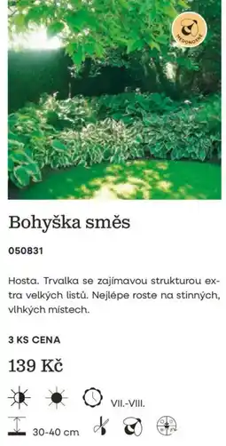 Starkl Bohyška směs nabídka
