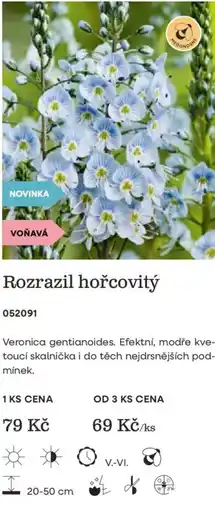 Starkl Rozrazil hořcovitý nabídka