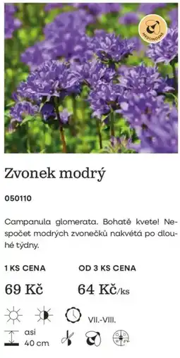 Starkl Zvonek modrý nabídka