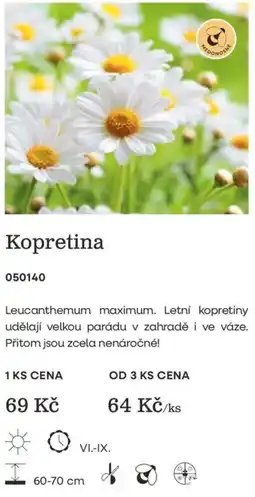 Starkl Kopretina nabídka