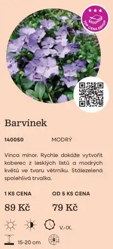 Starkl Barvíněk modrý nabídka
