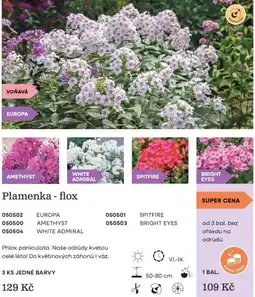 Starkl Plamenka - flox nabídka