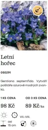 Starkl Letní hořec nabídka