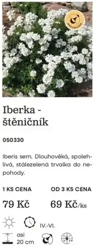 Starkl Iberka - štěničník nabídka