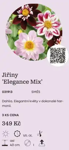 Starkl Jiřiny 'Elegance Mix' nabídka