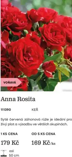 Starkl Anna Rosita nabídka