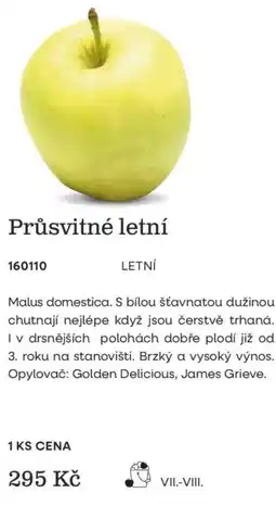 Starkl Průsvitné letní nabídka