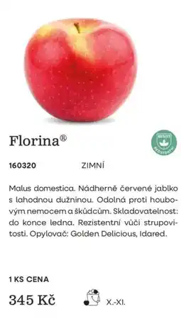 Starkl Florina nabídka