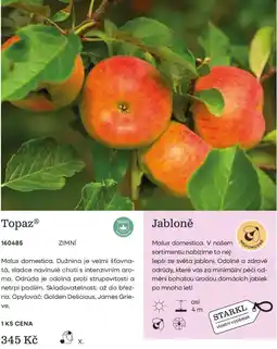 Starkl Topaz nabídka