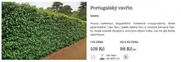 Starkl Portugalsky vavrin nabídka