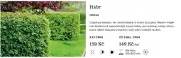 Starkl Habr nabídka