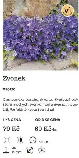 Starkl Zvonek nabídka