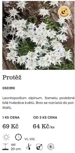 Starkl Protěž nabídka