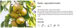 Starkl Nashi - Japonská hrušeň nabídka