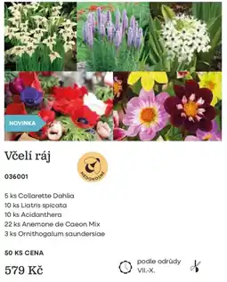 Starkl Včelí ráj nabídka