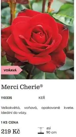 Starkl Merci Cherie nabídka