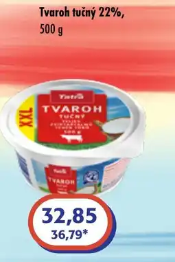 ČEPOS Tatra tvaroh tučný 22% nabídka