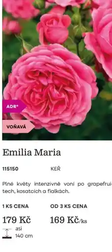 Starkl Emilia Maria nabídka