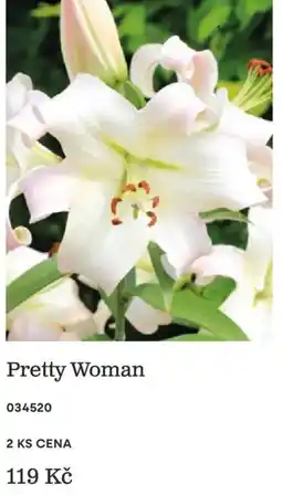 Starkl Pretty Woman nabídka