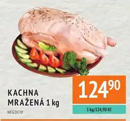 Coop hb Kachna mražená nabídka