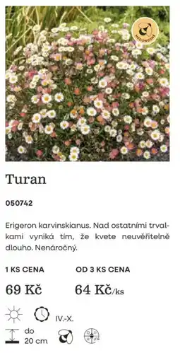 Starkl Turan nabídka