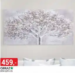 Baumax Obraz nabídka