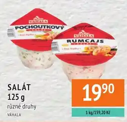 Coop hb Váhala pochoutkový salát nabídka