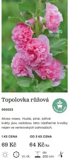 Starkl Topolovka růžová nabídka