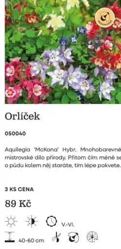 Starkl Orlíček nabídka