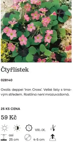 Starkl Čtyřlístek nabídka