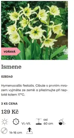 Starkl Ismene nabídka